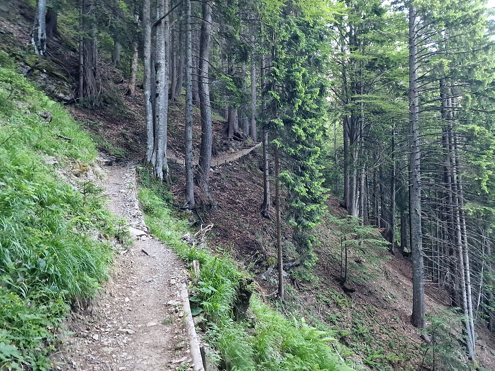 Slika je vidna v Google Chromu.