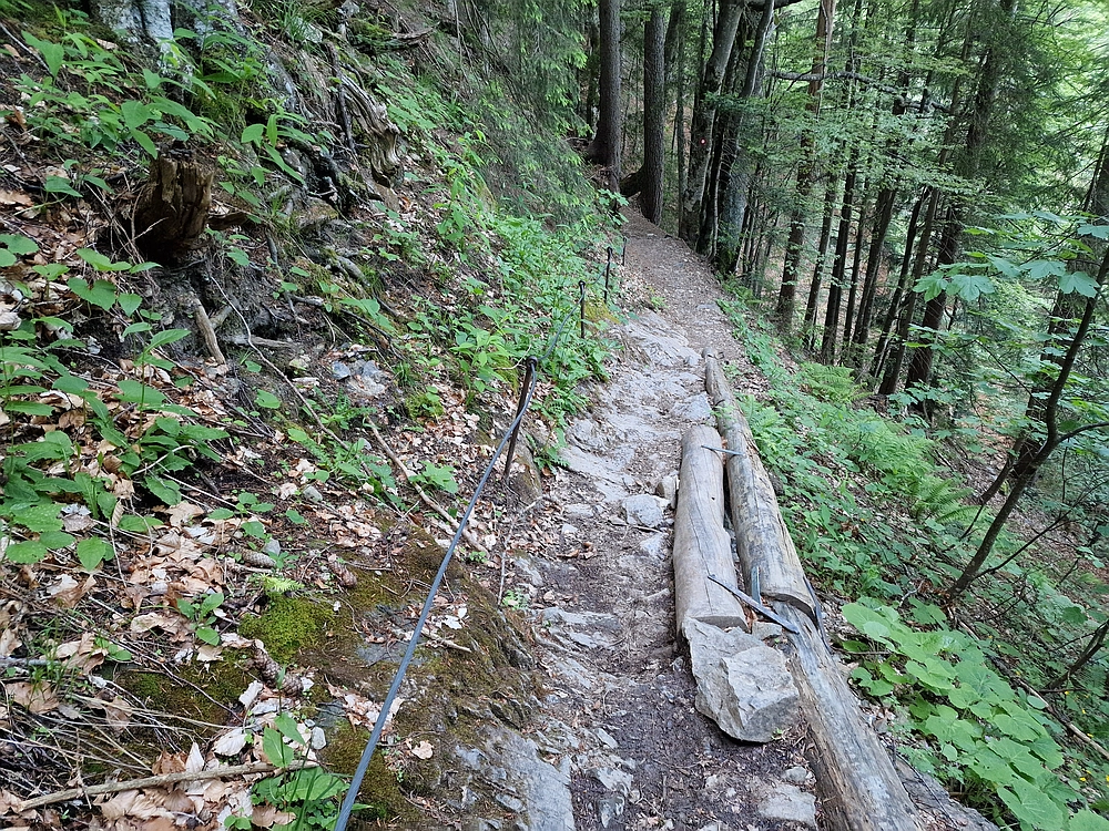 Slika je vidna v Google Chromu.