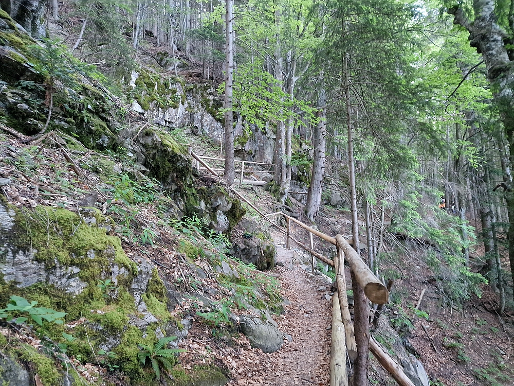 Slika je vidna v Google Chromu.