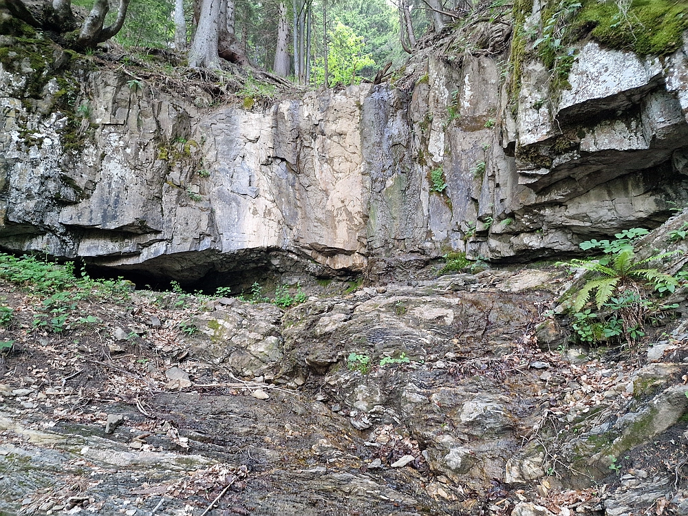 Slika je vidna v Google Chromu.