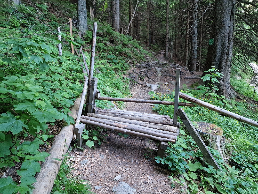 Slika je vidna v Google Chromu.