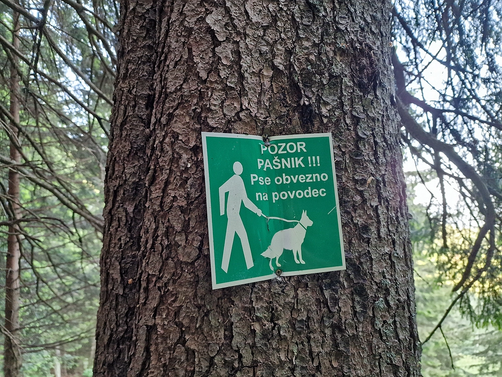 Slika je vidna v Google Chromu.