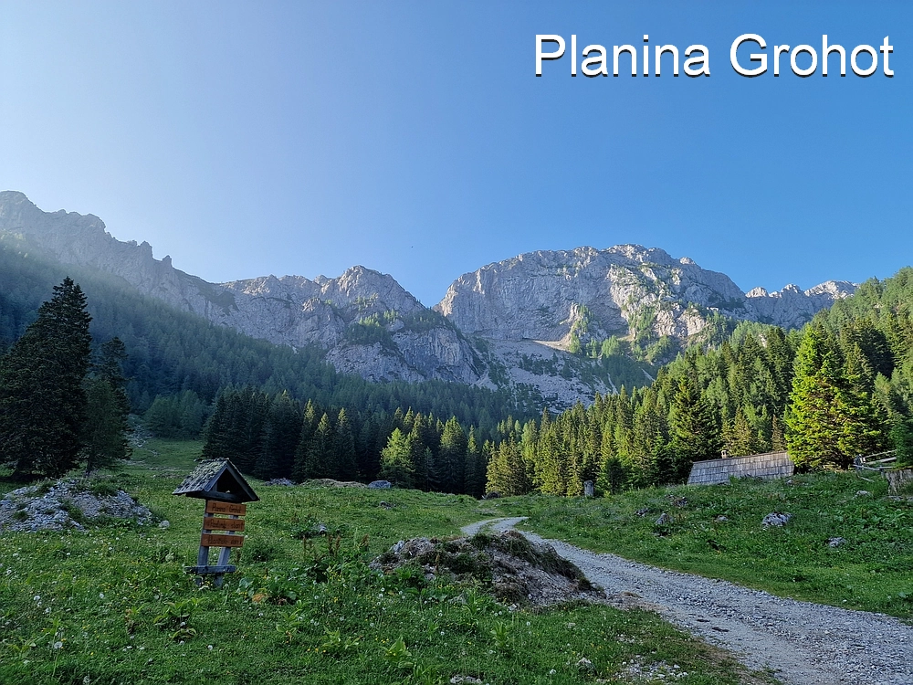 Slika je vidna v Google Chromu.