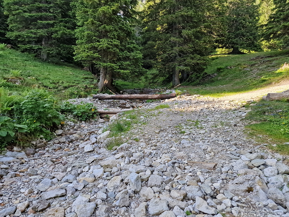 Slika je vidna v Google Chromu.