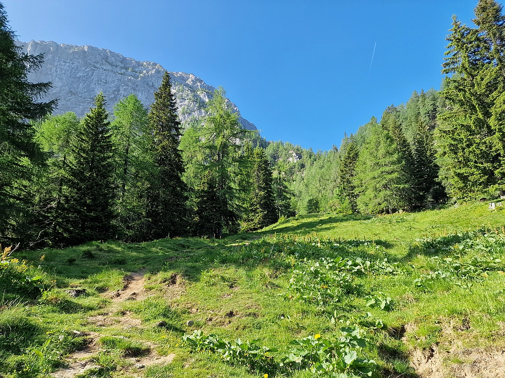 Slika je vidna v Google Chromu.