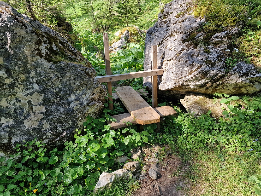 Slika je vidna v Google Chromu.