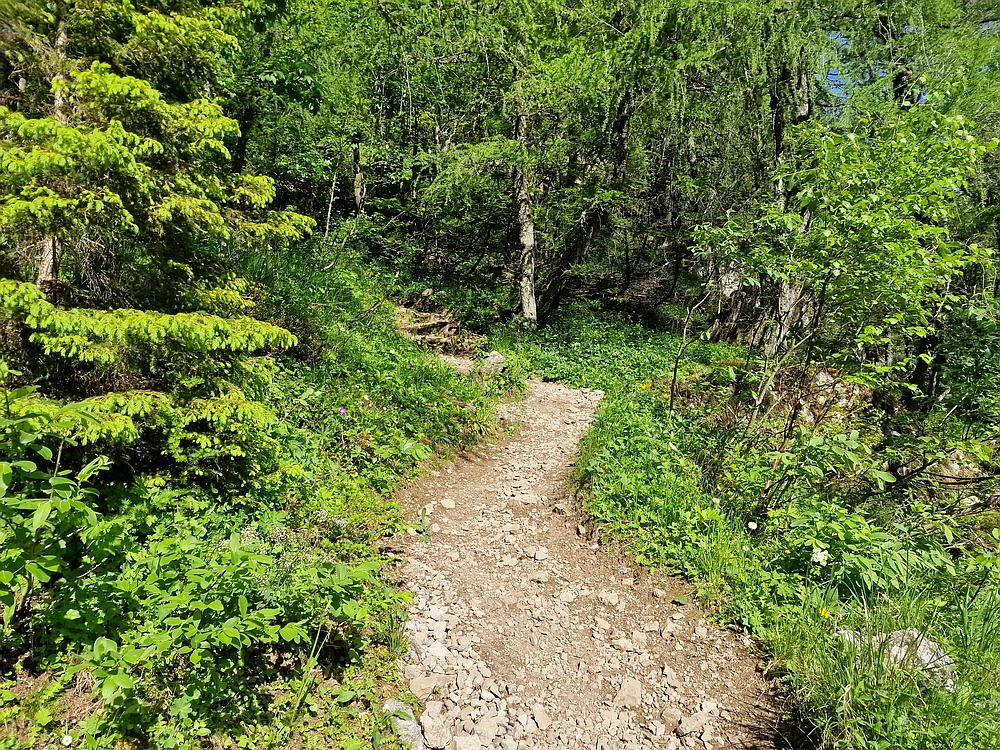 Slika je vidna v Google Chromu.