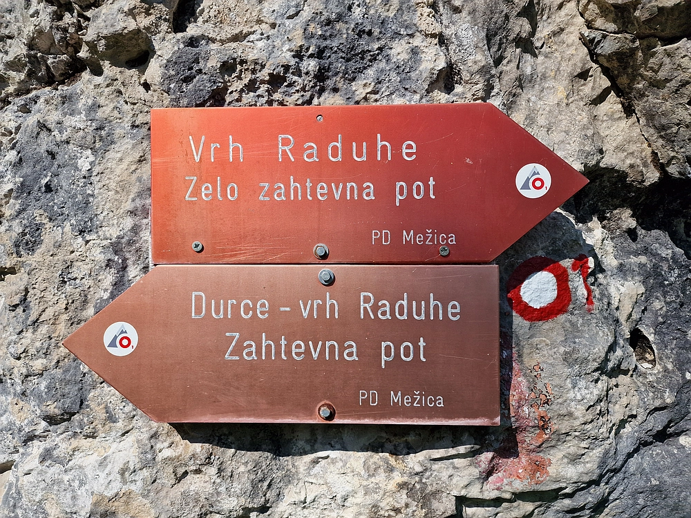 Slika je vidna v Google Chromu.