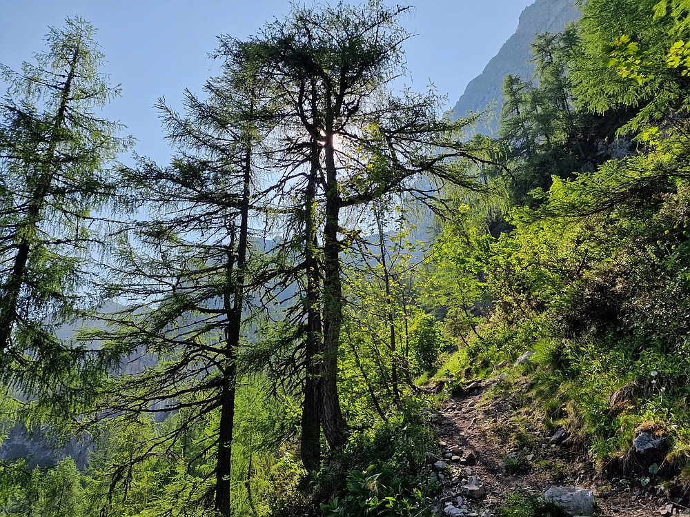 Slika je vidna v Google Chromu.