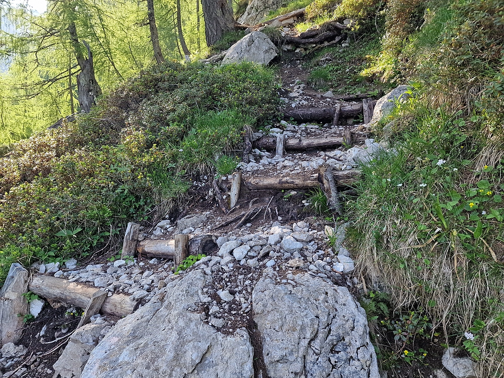 Slika je vidna v Google Chromu.