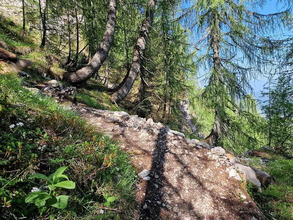 Slika je vidna v Google Chromu.