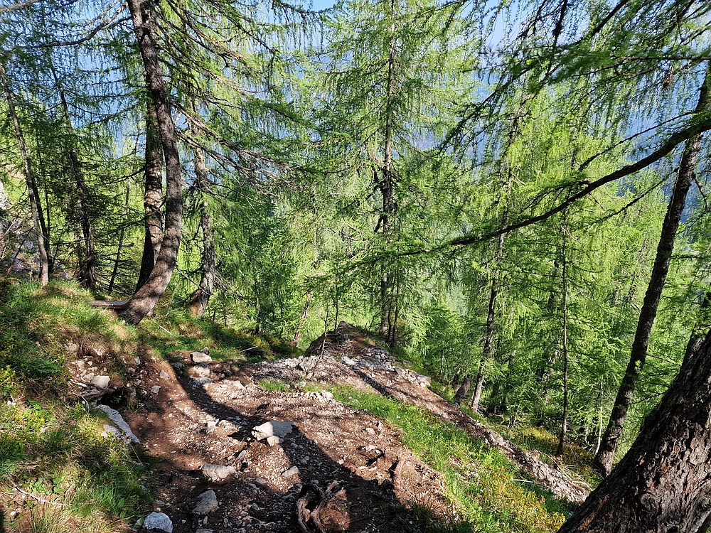 Slika je vidna v Google Chromu.