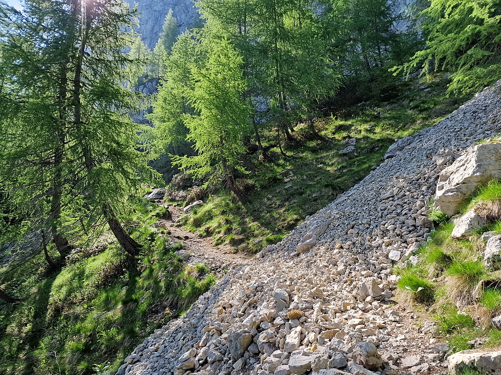 Slika je vidna v Google Chromu.
