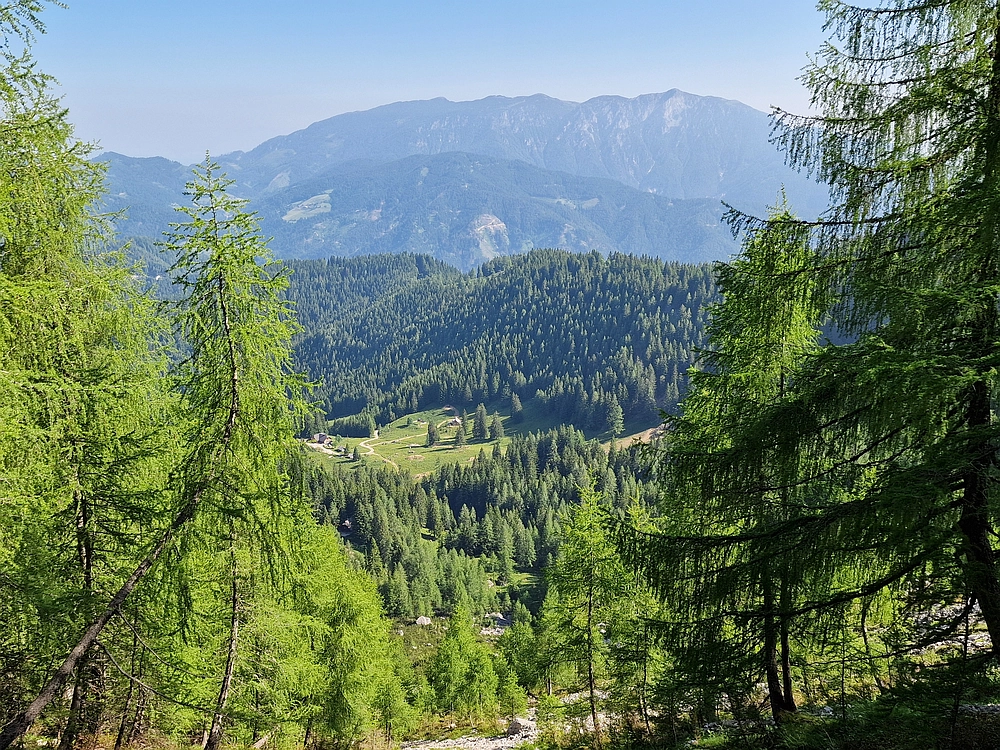 Slika je vidna v Google Chromu.