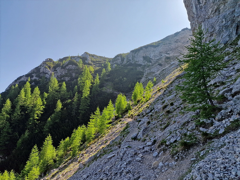 Slika je vidna v Google Chromu.