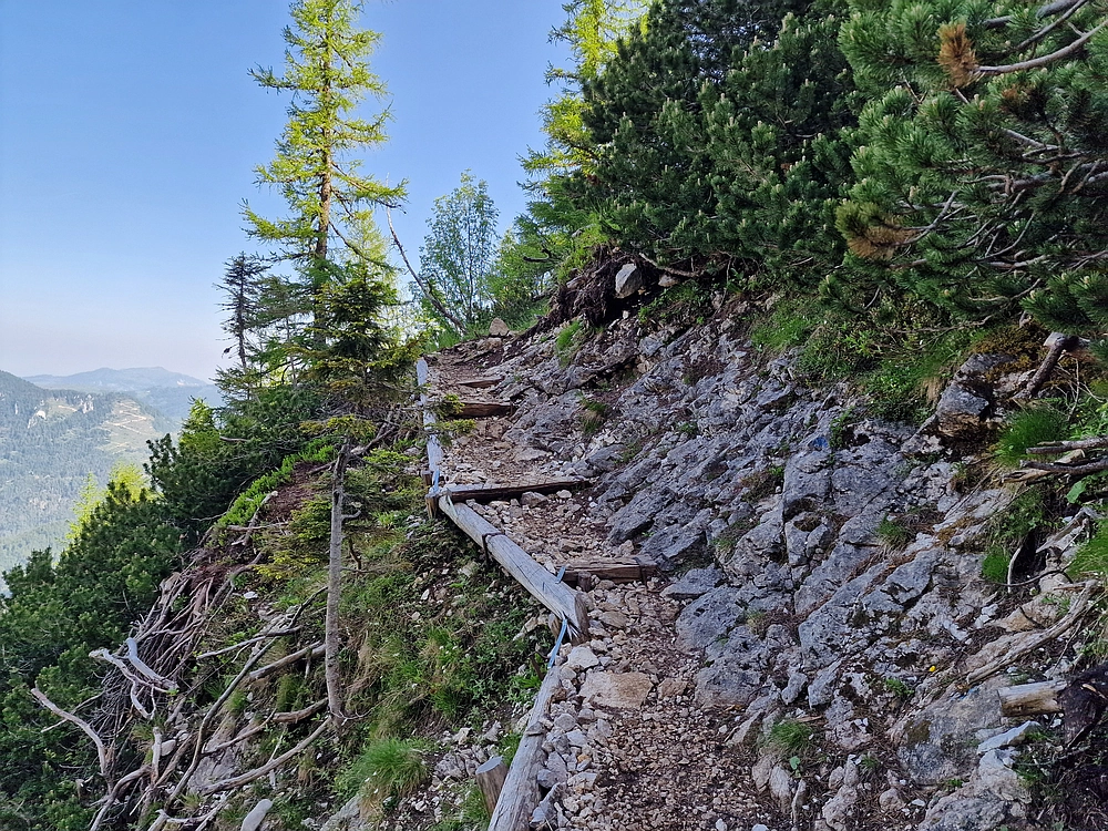 Slika je vidna v Google Chromu.