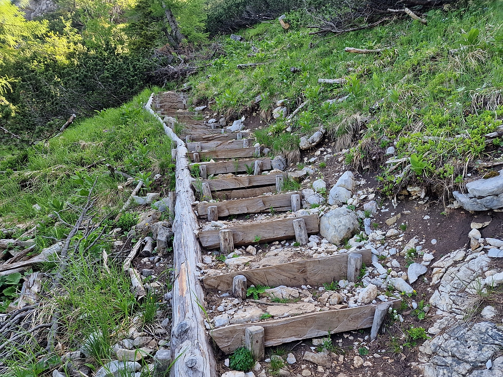 Slika je vidna v Google Chromu.