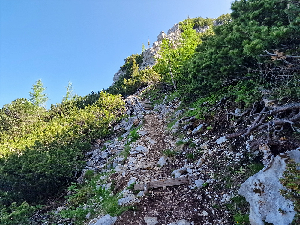 Slika je vidna v Google Chromu.