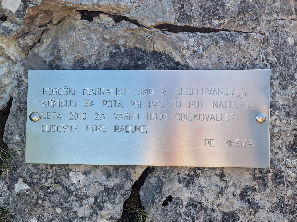 Slika je vidna v Google Chromu.