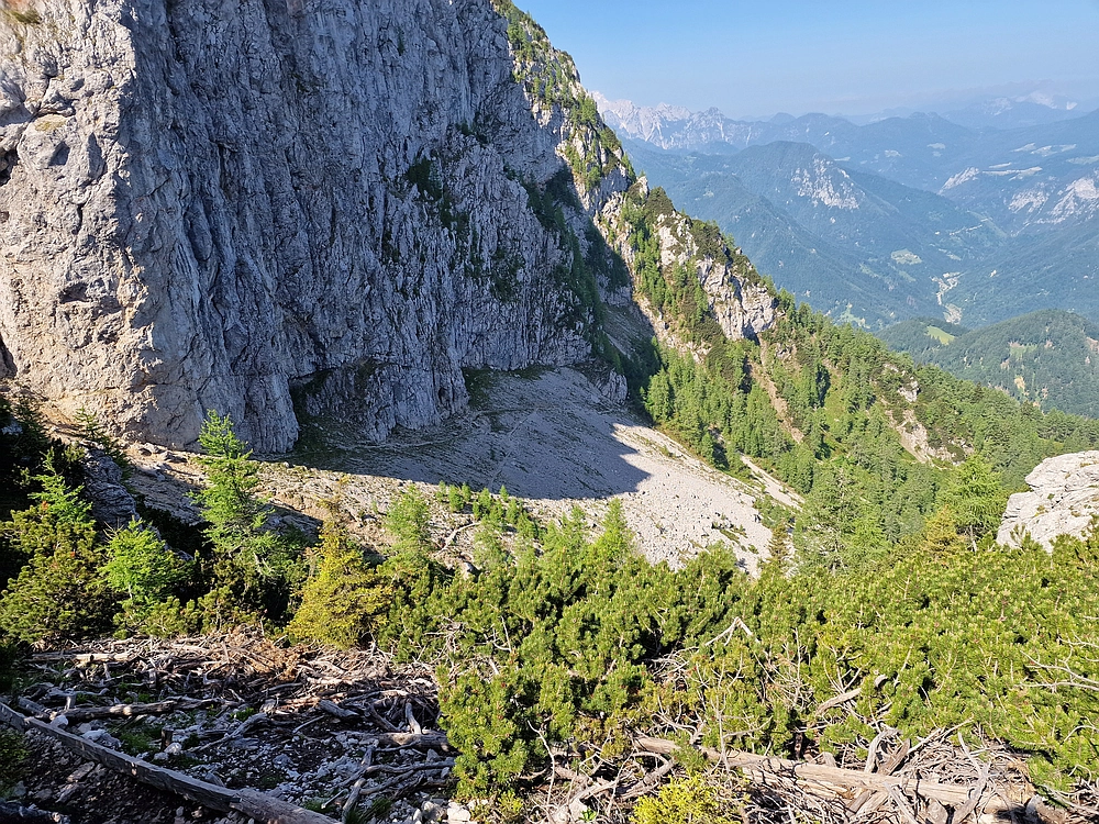Slika je vidna v Google Chromu.