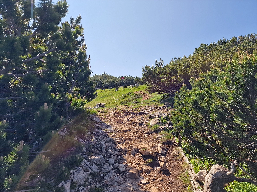 Slika je vidna v Google Chromu.