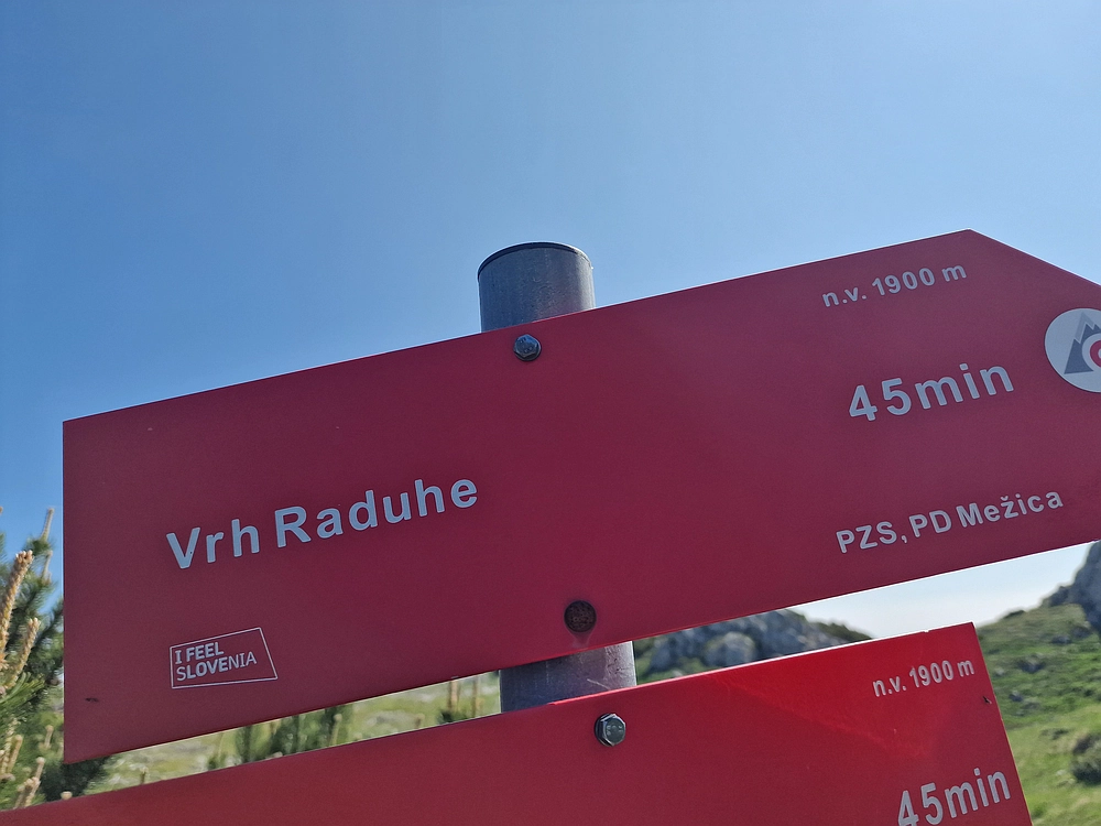 Slika je vidna v Google Chromu.