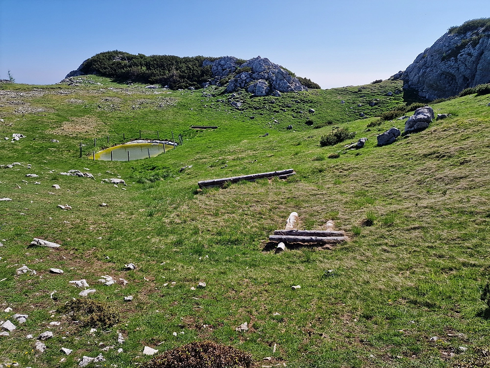Slika je vidna v Google Chromu.