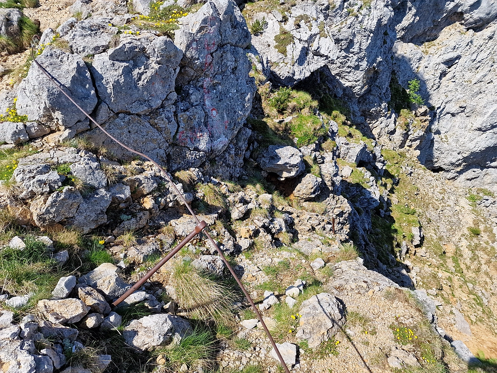 Slika je vidna v Google Chromu.