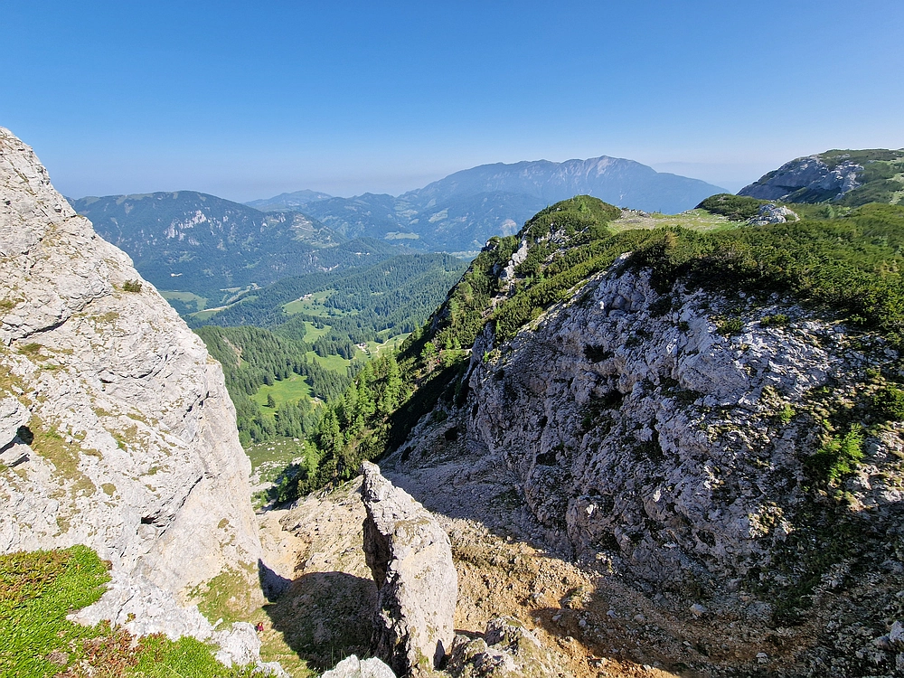 Slika je vidna v Google Chromu.