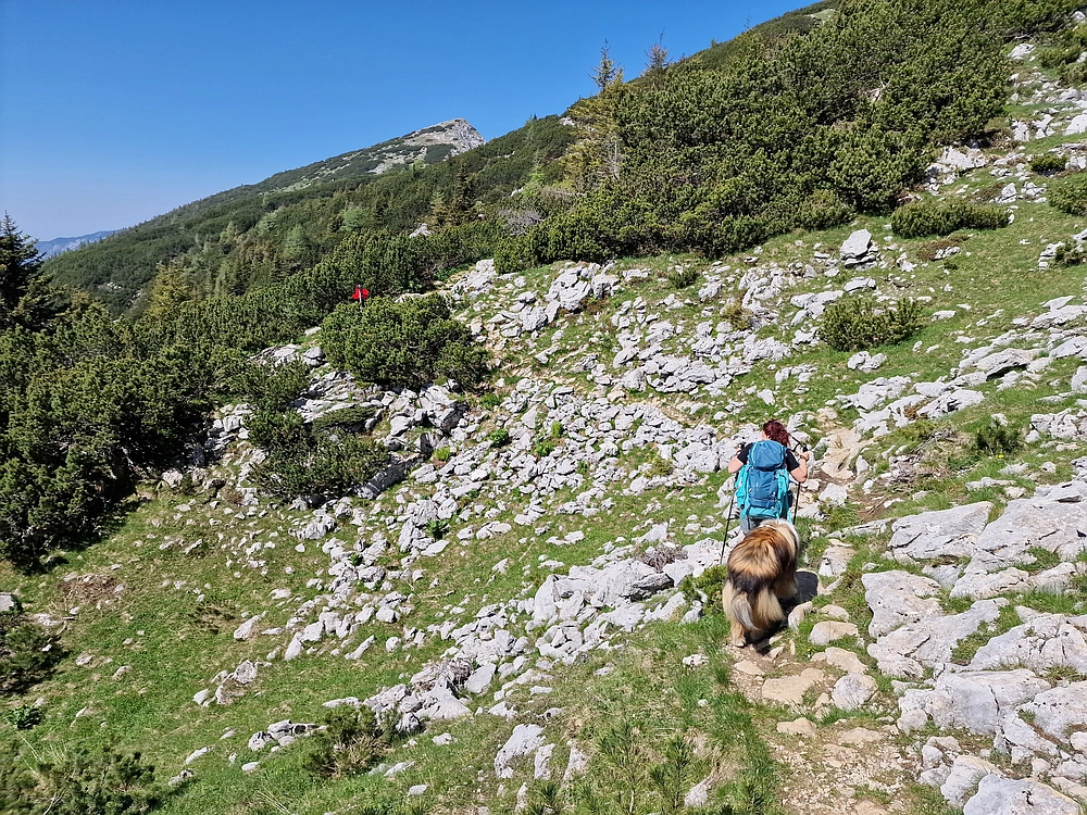 Slika je vidna v Google Chromu.