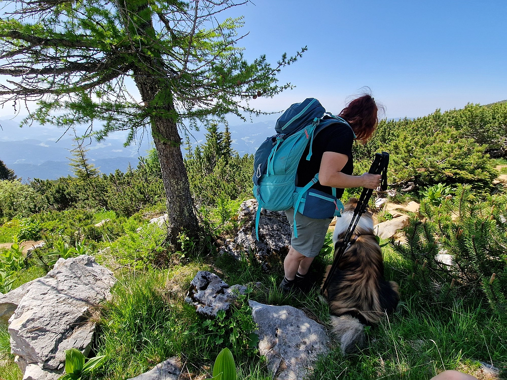 Slika je vidna v Google Chromu.