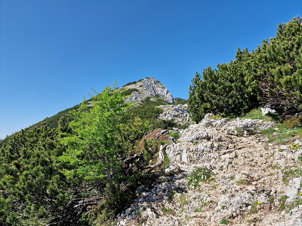 Slika je vidna v Google Chromu.