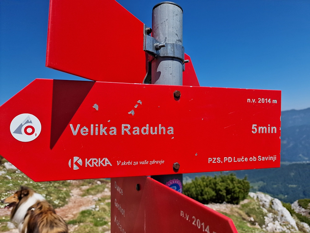 Slika je vidna v Google Chromu.