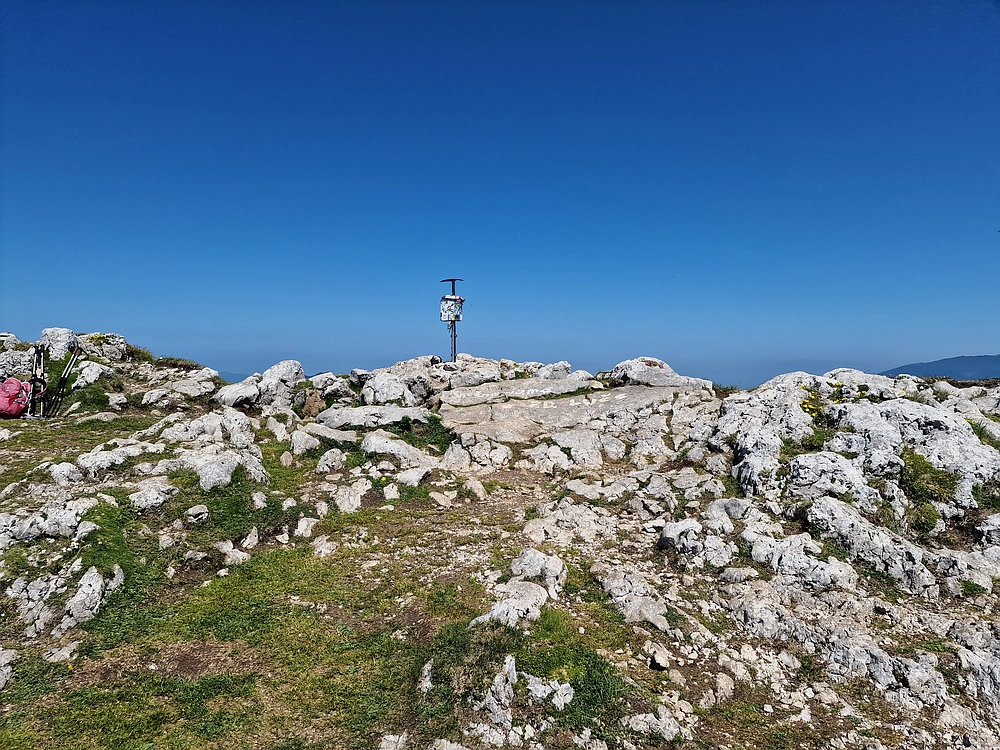 Slika je vidna v Google Chromu.