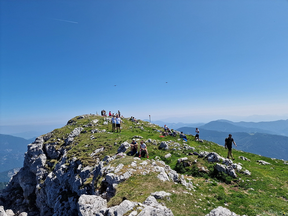 Slika je vidna v Google Chromu.