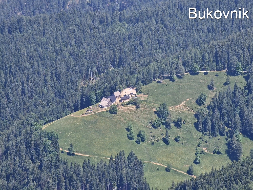 Slika je vidna v Google Chromu.