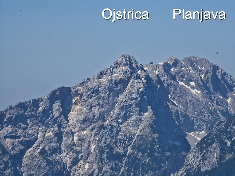 Slika je vidna v Google Chromu.