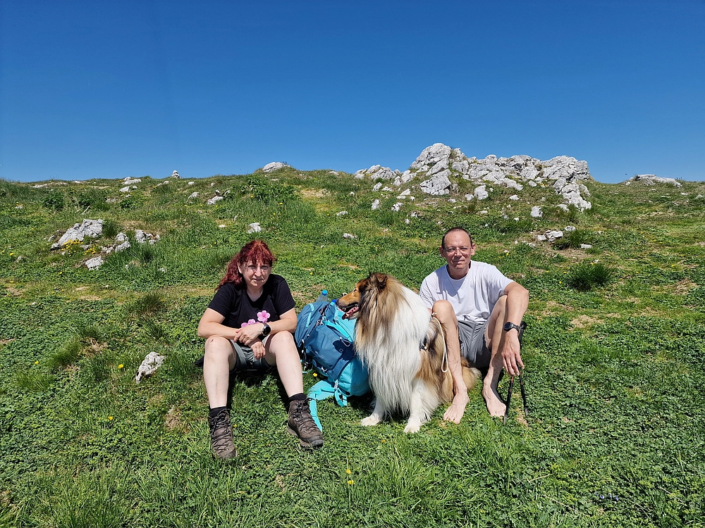 Slika je vidna v Google Chromu.