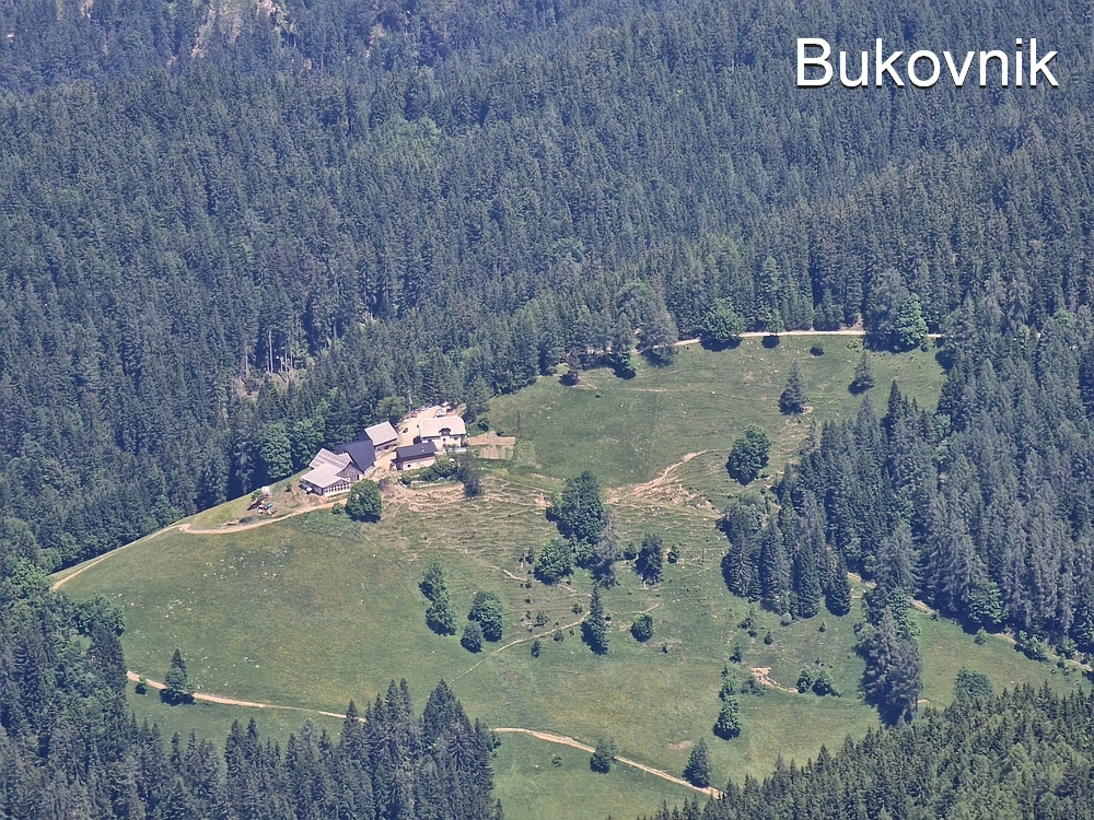 Slika je vidna v Google Chromu.