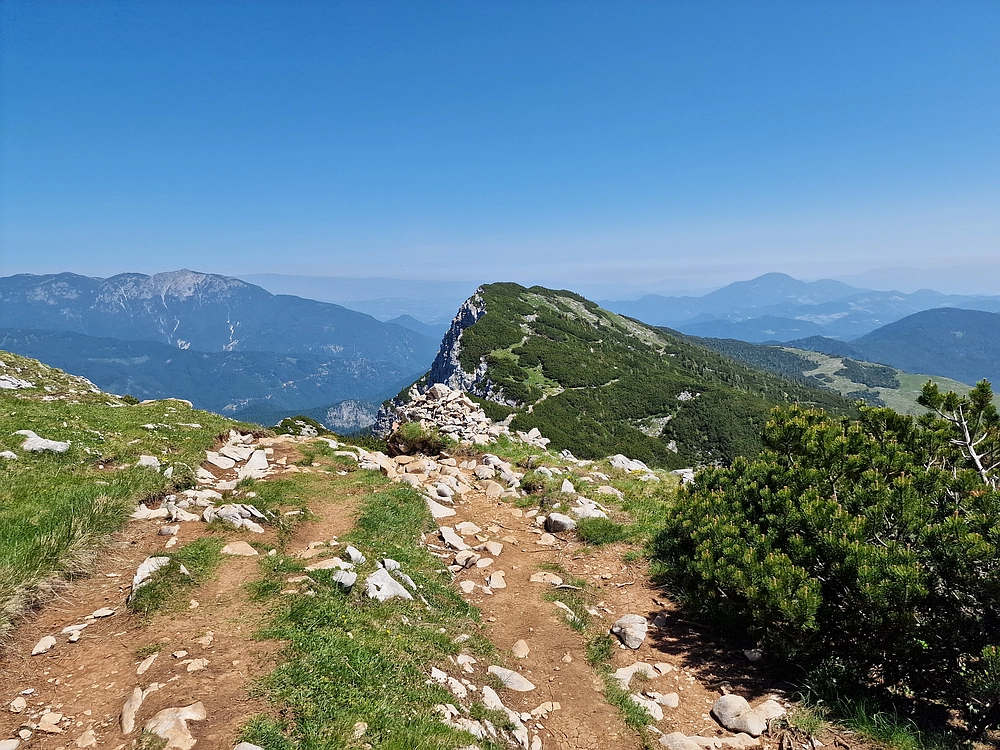 Slika je vidna v Google Chromu.