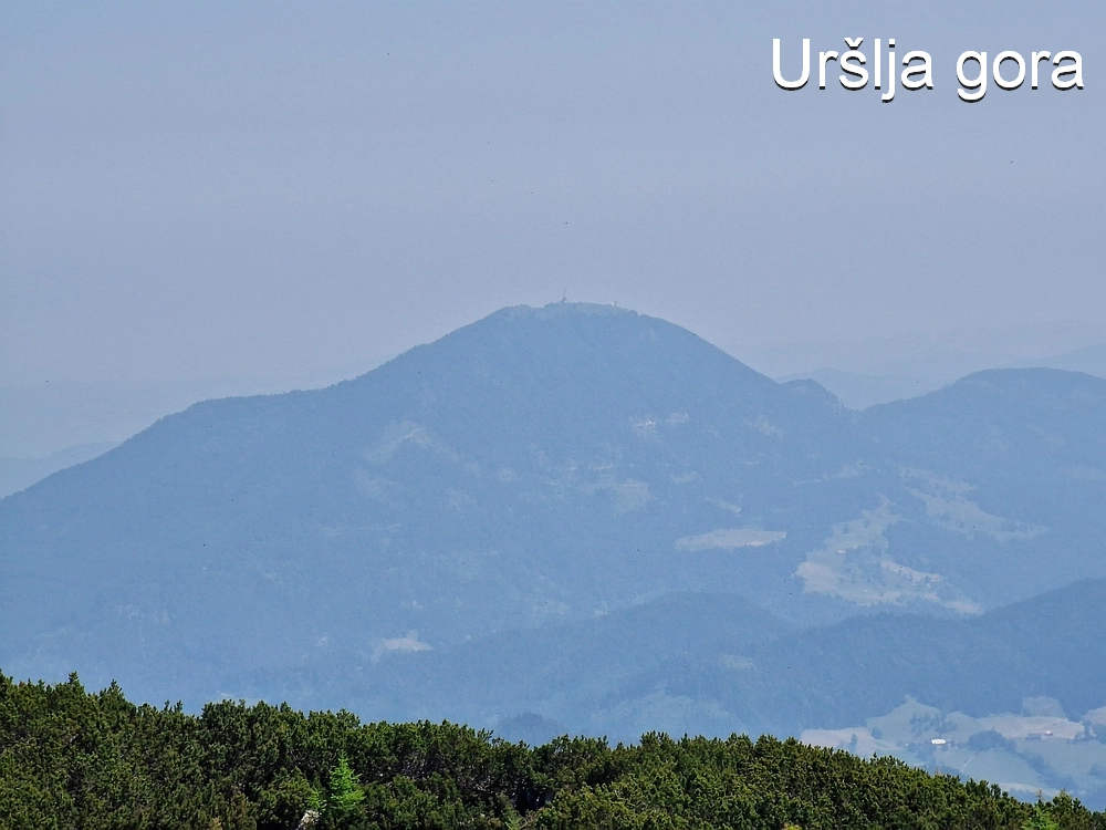 Slika je vidna v Google Chromu.