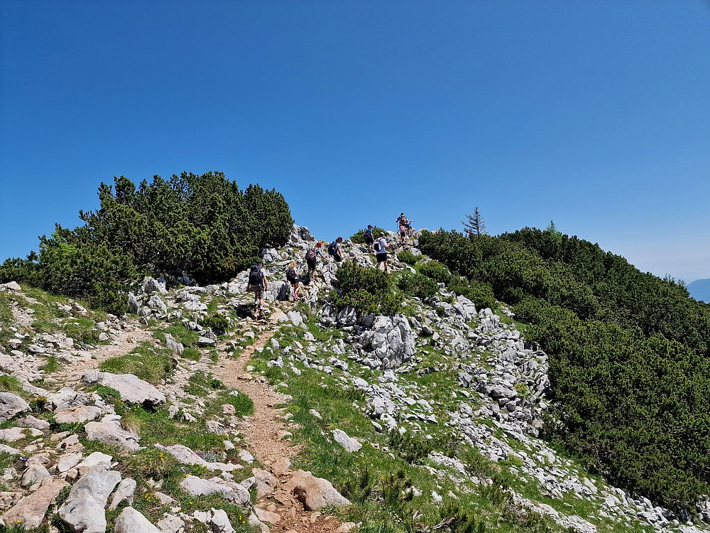 Slika je vidna v Google Chromu.