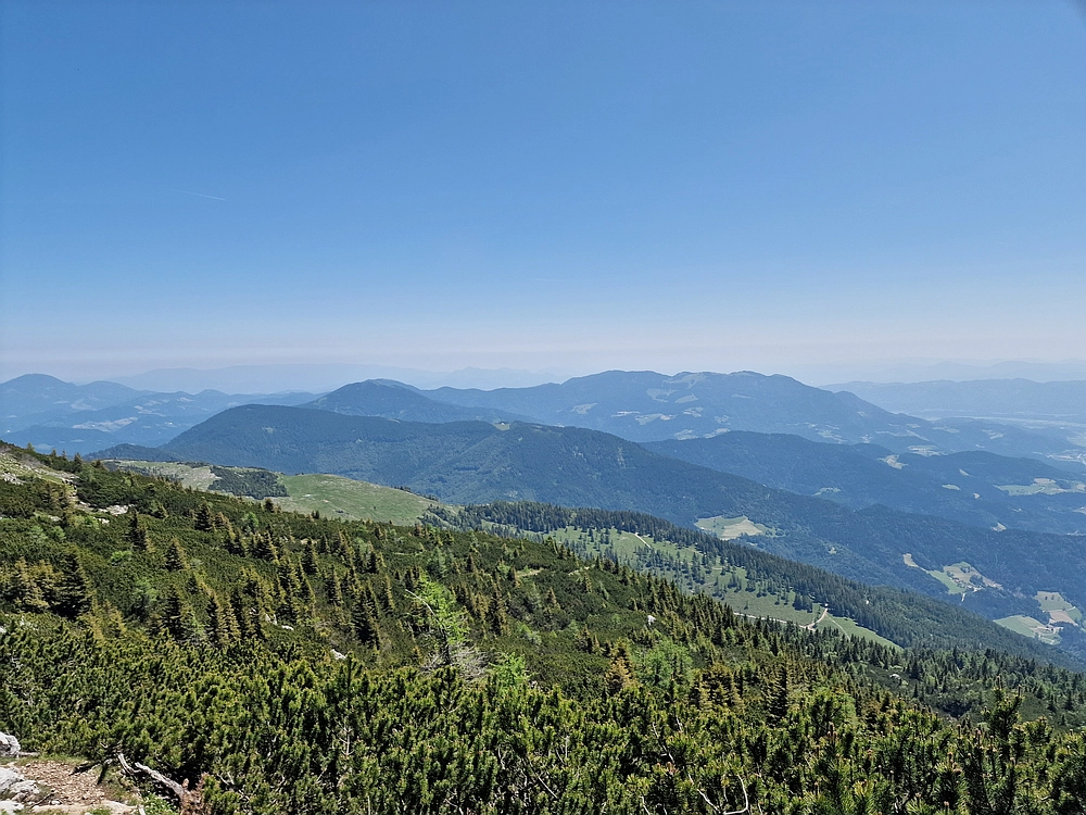 Slika je vidna v Google Chromu.