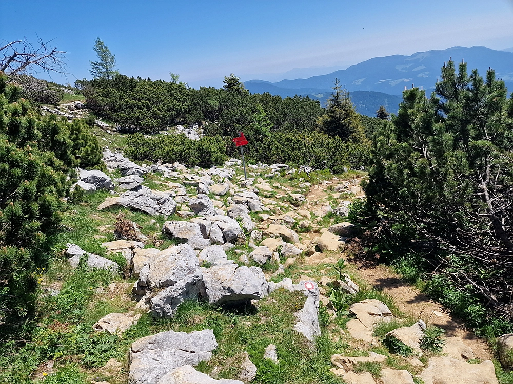 Slika je vidna v Google Chromu.