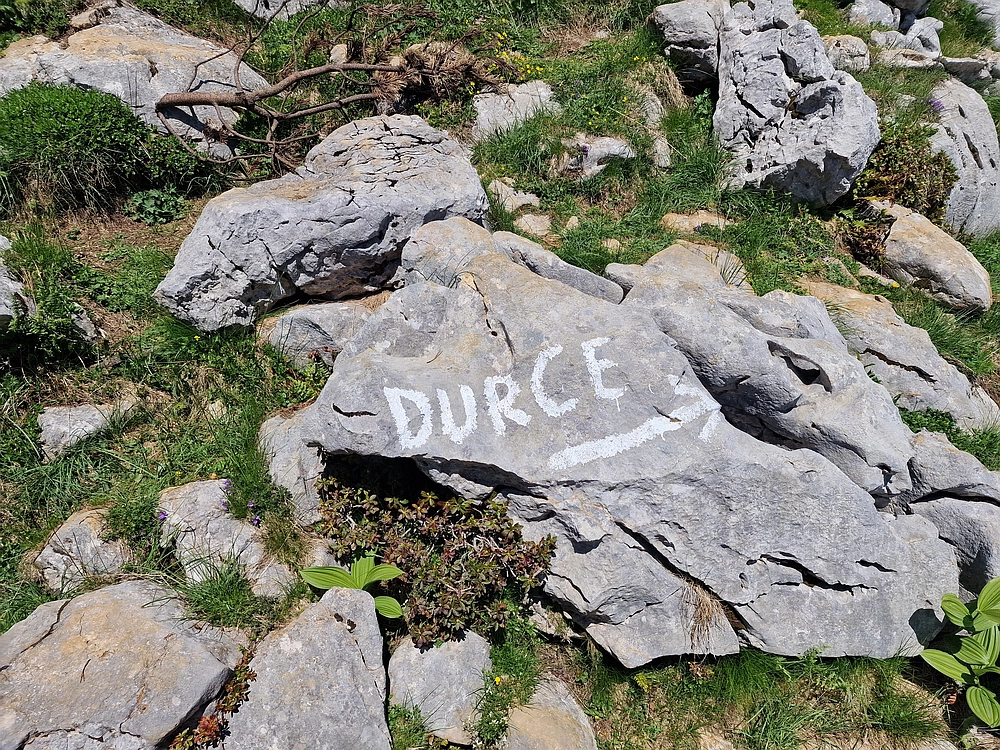 Slika je vidna v Google Chromu.