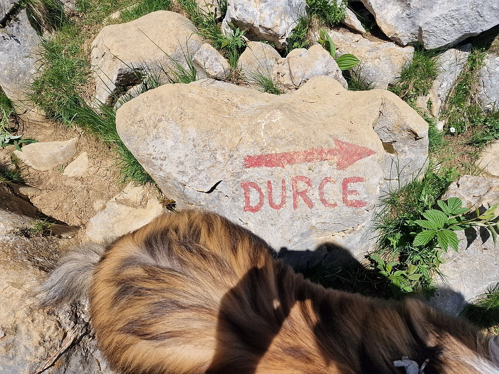 Slika je vidna v Google Chromu.