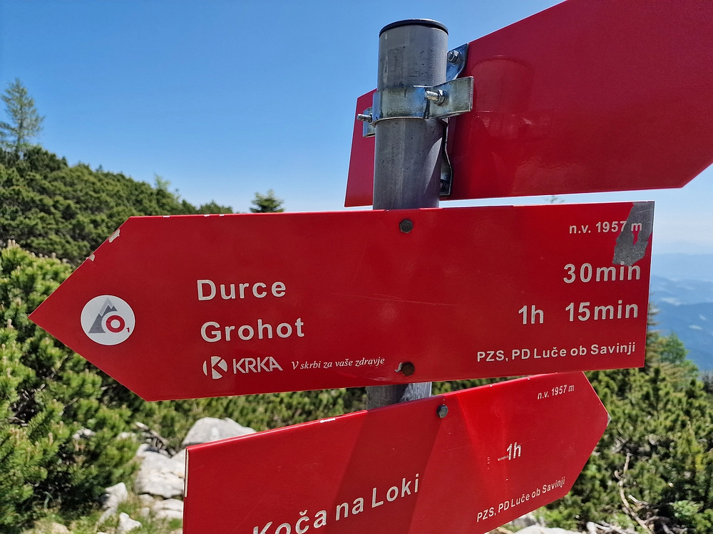 Slika je vidna v Google Chromu.