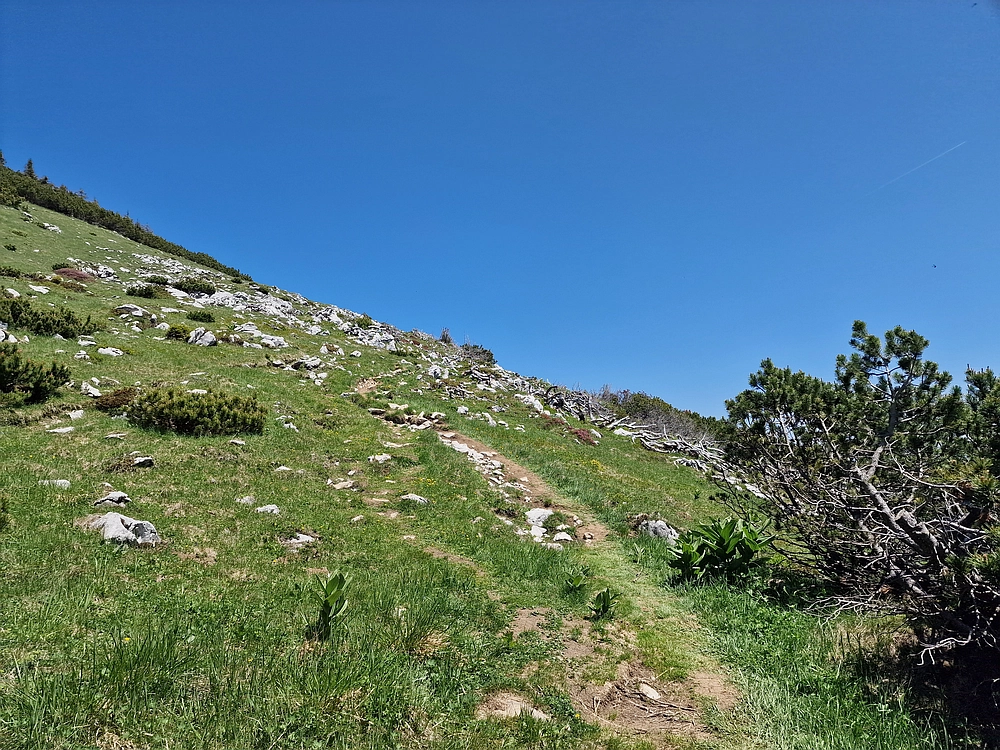 Slika je vidna v Google Chromu.