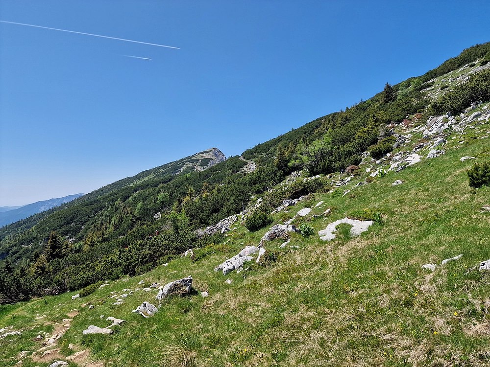 Slika je vidna v Google Chromu.