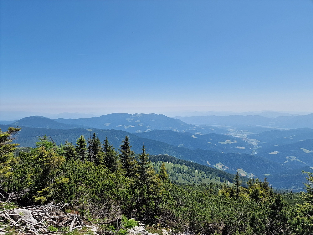 Slika je vidna v Google Chromu.